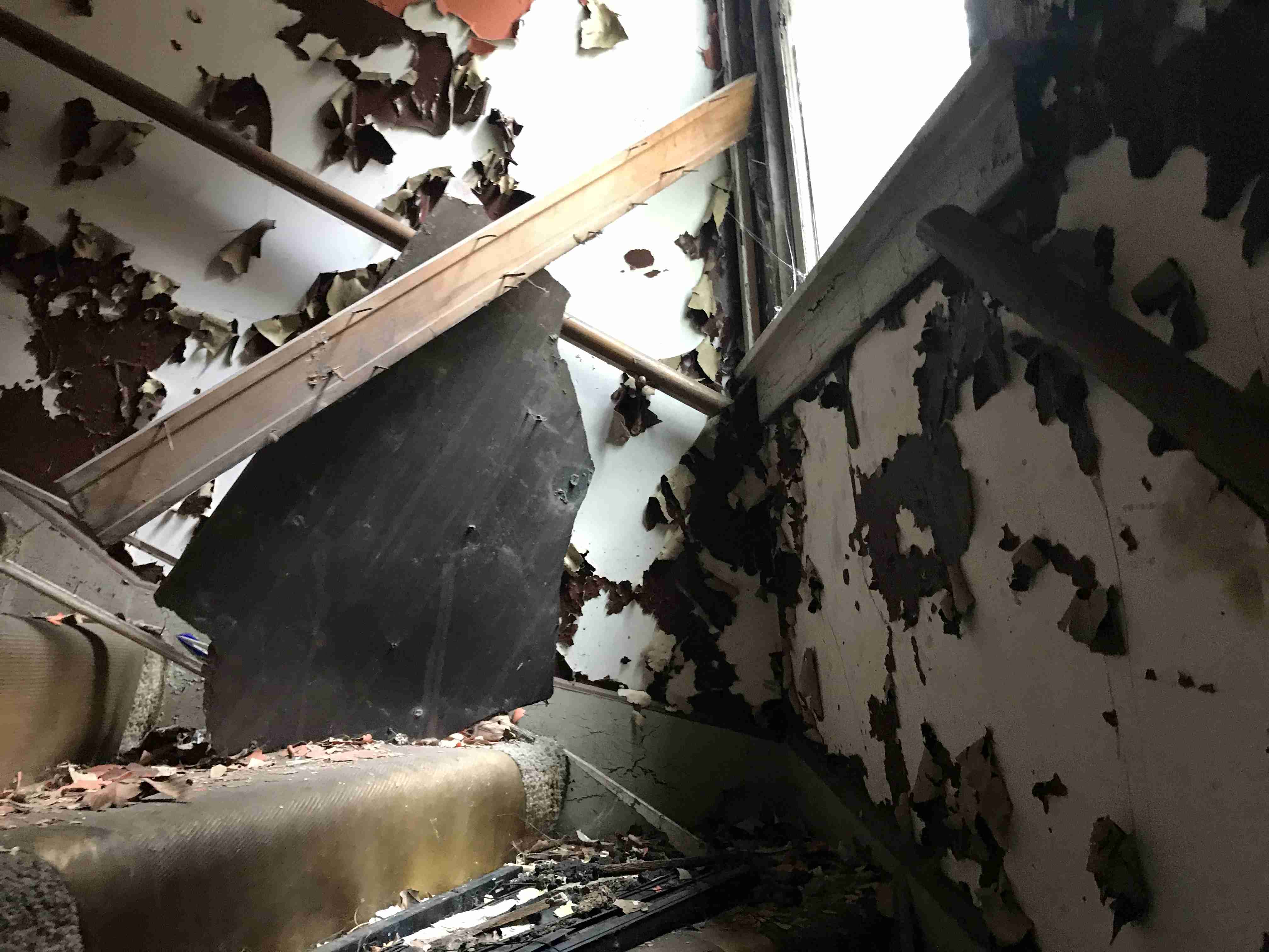 Photo Sep 10, 3 21 21 PM.jpg